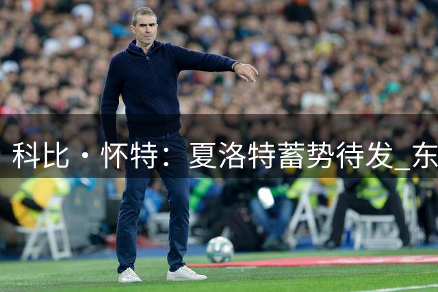 科比·怀特：夏洛特蓄势待发 东部实力提升激发团队斗志